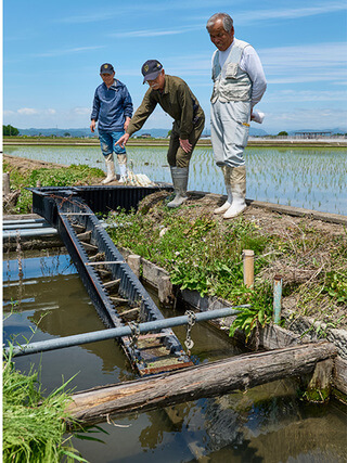 「千鳥X型」と呼ばれる魚道。波形ポリエチレンのU字溝に左右の高さが異なる堰板を交互に設置することで、堰板の水たまりを利用して遊泳漁や底生漁が上りやすくなる（勾配は10分の1程度）
