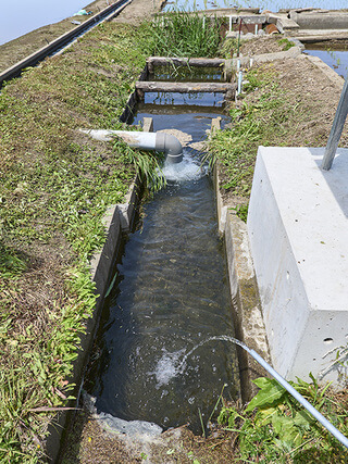生きもの水路には中干しの時期や冬に魚が避難する。夏場は水温が上がり過ぎないように太陽光発電で地下水をポンプアップして水路に入れる。これは酸素補給の役割もある
