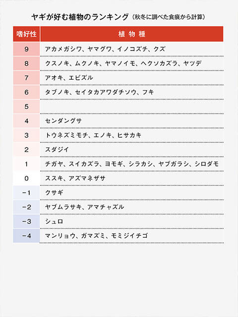 嗜好性値8以上はご馳走。1程度（ヒノキもこのあたり）までは日常的なエサとしてよく食べる。冬に食べものがなくなると、アズマネザサや竹、シュロも除草可能。放牧すると上位の種から消失していくので、クズやヤマグワを選択的に除草してヒサカキやスダジイを残すことができる。嗜好性が高い種を残すには防護が必要。
