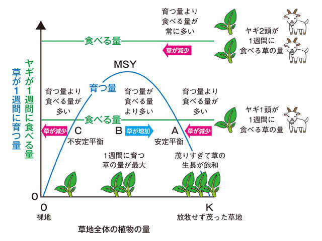 図1　草地全体の植物の量と草が育つ速度、ヤギが食べる速度との関係（春・夏の放牧）
