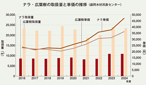広葉樹全体の価格が上がっているが、ナラはとくに上がり方が大きい。ナラは23年から取扱量も1万m<sup>3</sup>を超えた
