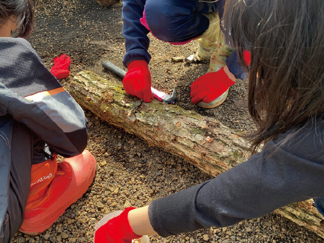 植菌作業の様子