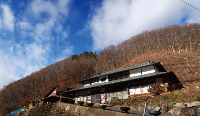 砂子澤林業が1年前に切った、文字通り裏山のコナラ。南向きの斜面。上に残した木の実生などで天然更新させる