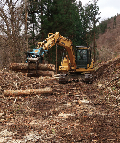 プロセッサを使って玉切りしながら、切った木を道の両側に集積