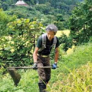 筆者（67歳）。元北陸中日新聞記者。取材で訪れた小院瀬見で米のうまさに驚き、2023年に集落内など16aで自然栽培の米づくりを始めた。24年の退職後は『小院瀬見新聞』を創刊し毎月発行