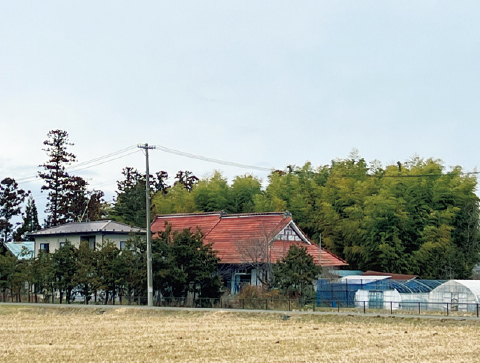 大崎市に数多く残る居久根