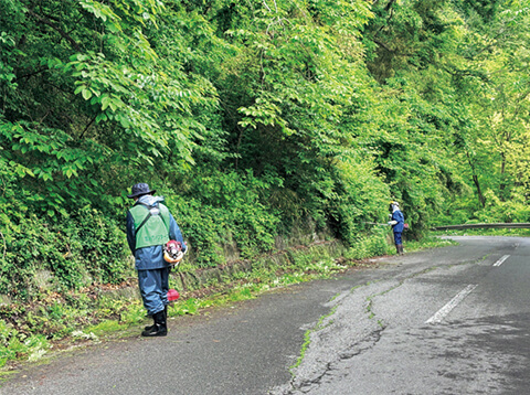 道路脇の草を刈る